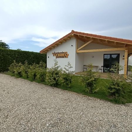 Apartamentos Aronces Cudillero Buitenkant foto